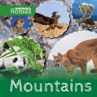 Book Cover for Mountains by John Wood