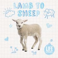 Book Cover for Lamb to Sheep by Holly Duhig