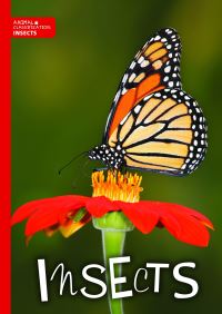 Book Cover for Insects by Charlie Ogden