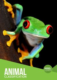 Book Cover for Animal Classification by Steffi CavellClarke, Charlie Ogden