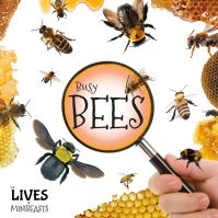 Book Cover for Busy Bees by Holly Duhig