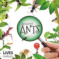 Book Cover for Amazing Ants by Holly Duhig