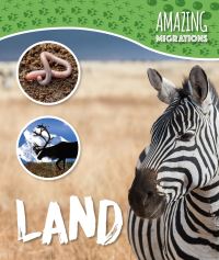 Book Cover for Land by Harriet Brundle