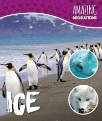 Book Cover for Ice by Harriet Brundle