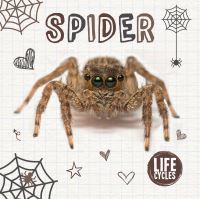 Book Cover for Spider by Holly Duhig