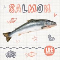 Book Cover for Salmon by Holly Duhig