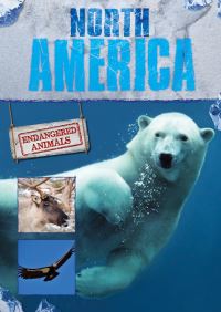 Book Cover for North America by Grace Jones
