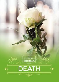 Book Cover for Death by Joanna Brundle