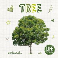 Book Cover for Tree by Holly Duhig