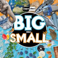 Book Cover for Big and Small by Emilie Dufresne