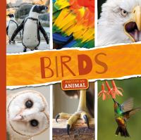 Book Cover for Birds by Emilie Dufresne