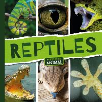 Book Cover for Reptiles by Emilie Dufresne