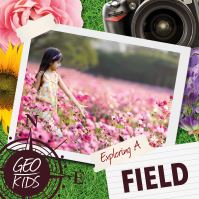 Book Cover for Exploring a Field by Holly Duhig