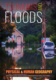 Book Cover for Tsunamis and Floods by Joanna Brundle
