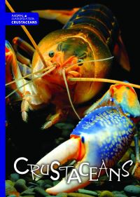 Book Cover for Crustaceans by Joanna Brundle