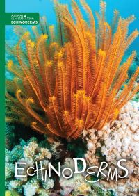 Book Cover for Echinoderms by Joanna Brundle