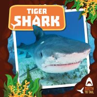 Book Cover for Tiger Shark by Robin Twiddy