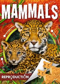 Book Cover for Mammals by Joanna Brundle