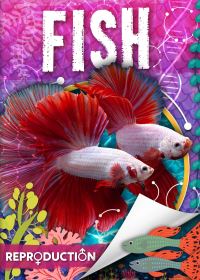 Book Cover for Fish by Joanna Brundle