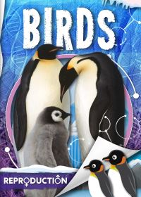 Book Cover for Birds by Joanna Brundle