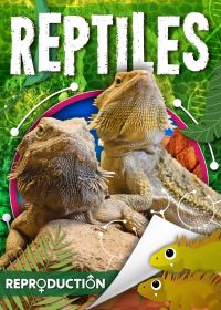 Book Cover for Reptiles by Joanna Brundle