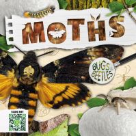 Book Cover for Moths by William Anthony