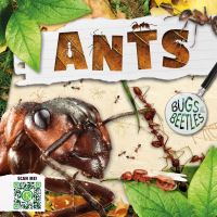 Book Cover for Ants by William Anthony