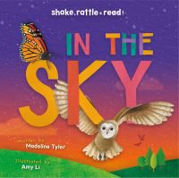 Book Cover for In the Sky by Madeline Tyler