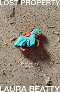 Book Cover for Lost Property by Laura Beatty