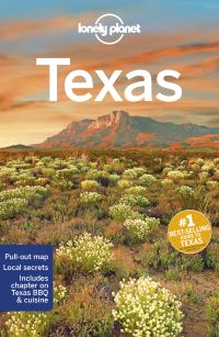 Book Cover for Texas by Amy C Balfour, Stephen Lioy, Ryan Ver Berkmoes
