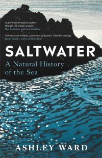 Book Cover for Saltwater by Ashley Ward