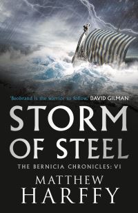 Book Cover for Storm of Steel by Matthew Harffy