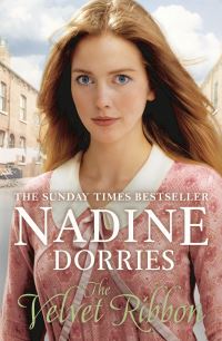 Book Cover for The Velvet Ribbon by Nadine Dorries