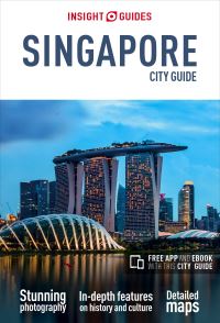 Book Cover for Singapore by Amy Van