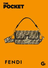 Book Cover for The Pocket Fendi by 