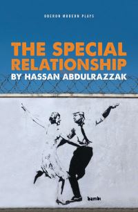 Book Cover for The Special Relationship by Hassan Abdulrazzak