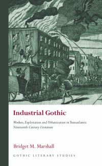 Book Cover for Industrial Gothic by Bridget Marshall