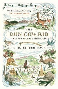 Book Cover for The Dun Cow Rib by John ListerKaye