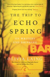 Book Cover for The Trip to Echo Spring by Olivia Laing