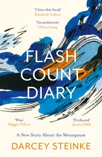 Book Cover for Flash Count Diary by Darcey Steinke
