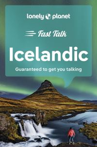 Book Cover for Icelandic by 