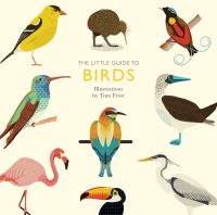 Book Cover for The Little Guide to Birds by Alison Davies