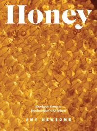 Book Cover for Honey by Amy Newsome