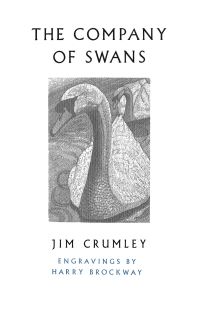 Book Cover for The Company of Swans by Jim Crumley