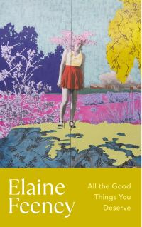 Book Cover for All the Good Things You Deserve by Elaine Feeney