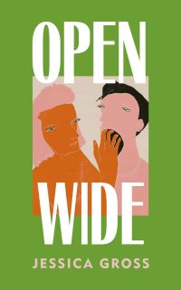 Book Cover for Open Wide by Jessica Gross