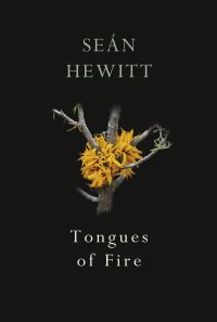 Book Cover for Tongues of Fire by Seán Hewitt