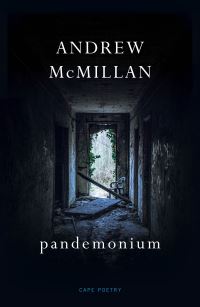 Book Cover for Pandemonium by Andrew McMillan