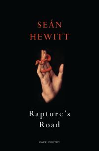Book Cover for Rapture's Road by Seán Hewitt