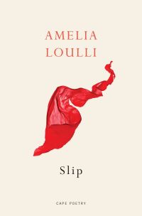 Book Cover for Slip by Amelia Loulli